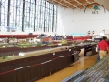100_0614 copia