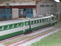 100_0644 copia