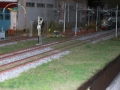 100_0645 copia