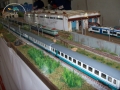 100_0646 copia