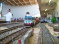 100_0658 copia