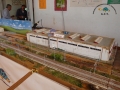 DSC03679 copia