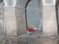 IMG_0207