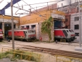 IMAG6787 copia