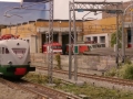 IMAG6794 copia