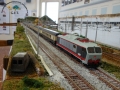 DSC02537