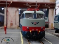DSC02600