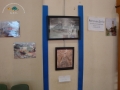 DSC05226 copia