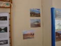 DSC05231 copia