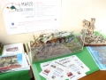 DSC05237 copia