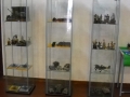 DSCN7557 copia