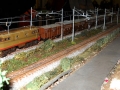 DSCN7584 copia