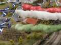IMG-20191116-WA0010