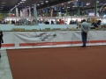 image00015