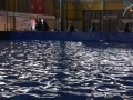 image00001