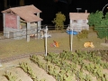 image00049