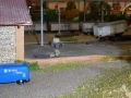 image00057