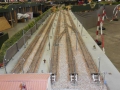 image00078