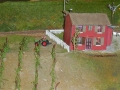 image00081