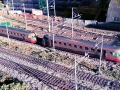 imag2099_1
