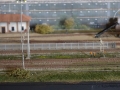 DSC01389