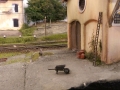 IMAG0018