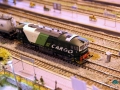 IMG_1801_800x533