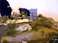 IMG_1944_800x533