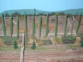 DSCN8769_800x450