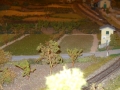 DSCN8793_800x450