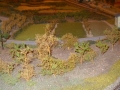 DSCN8794_800x450