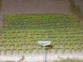 DSCN8800_800x450
