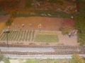 DSCN8801_800x450