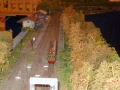 DSCN8805_800x450