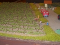 DSCN8834_800x450