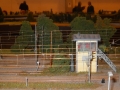 DSCN8840_800x450