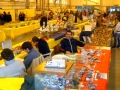 DSCN8908_800x450