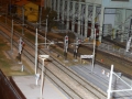 DSCN8920_800x450