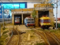 DSC09080