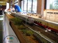 DSCN0224