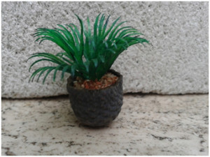 vaso02